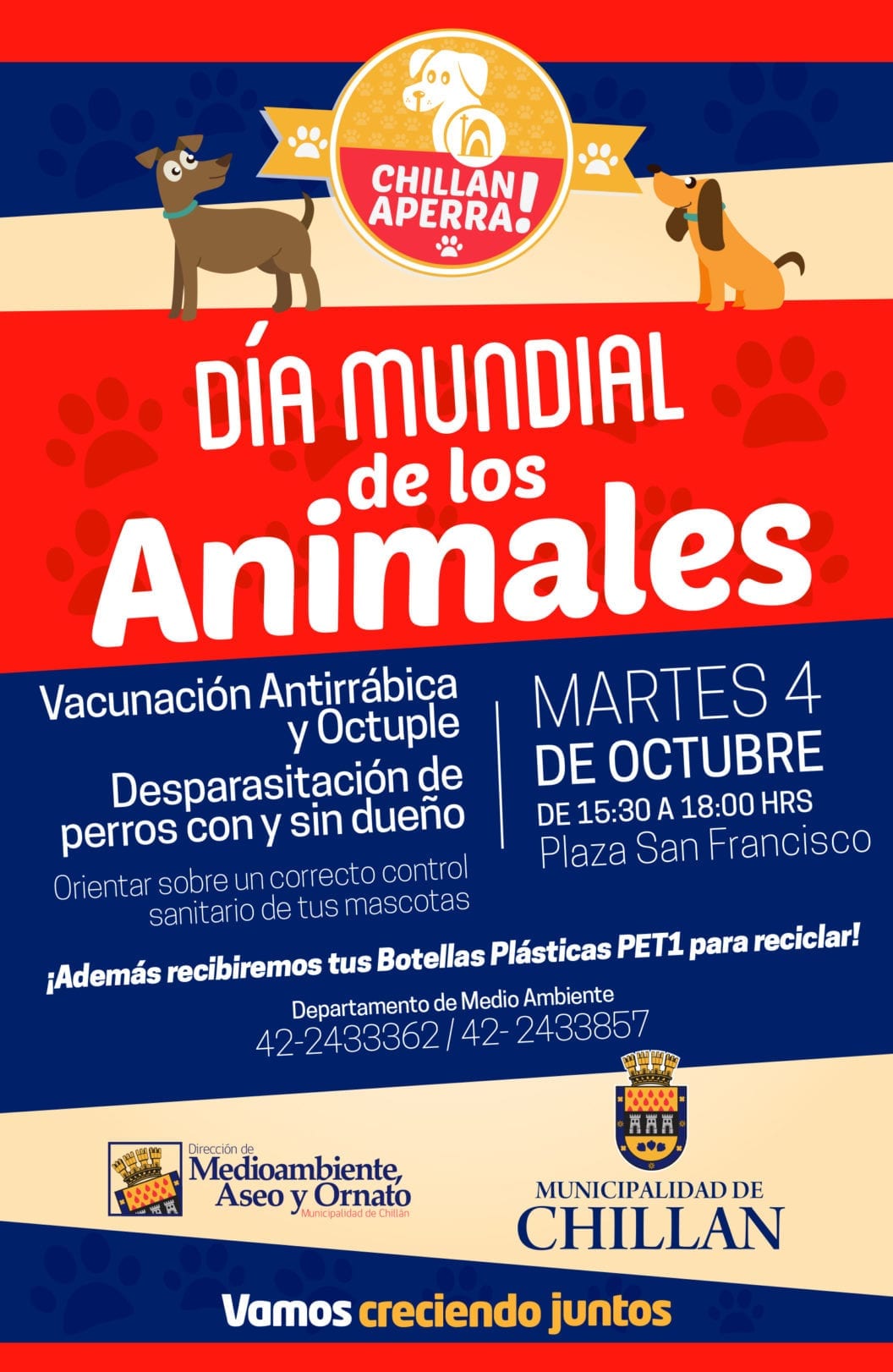 Celebrarán en Chillán el Día Mundial de los Animales